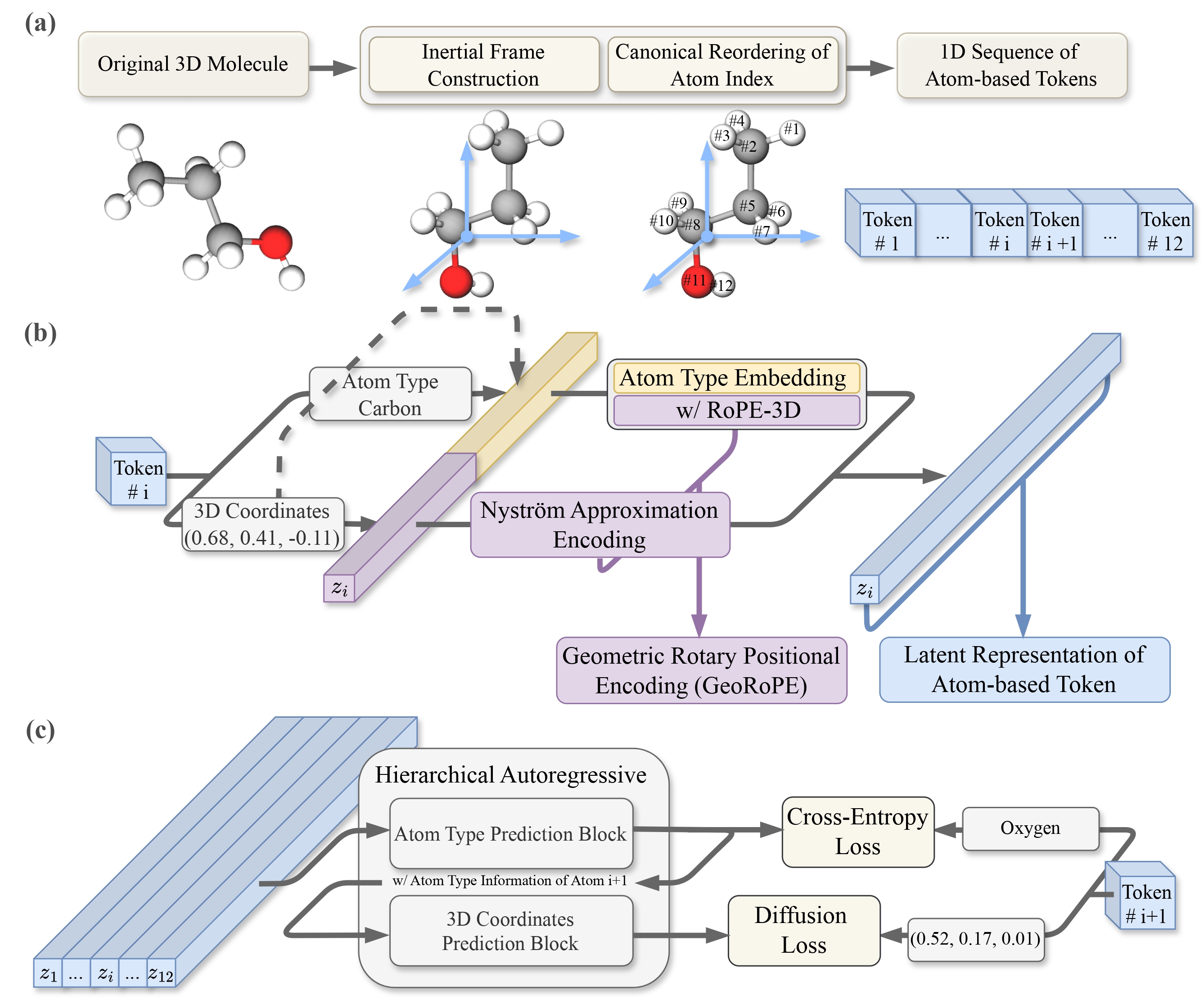 Model architecture